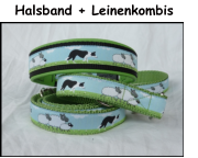 Halsband + Leinenkombis